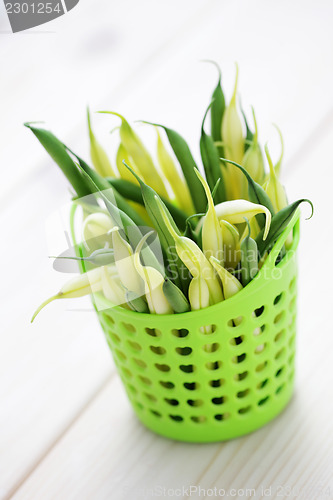 Image of green and yellow beans