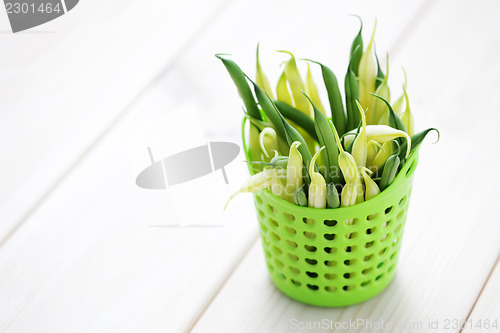 Image of green and yellow beans