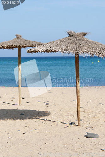 Image of Thatch Beach Umbrellas