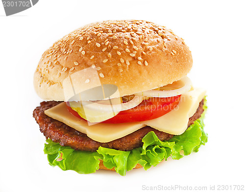 Image of Big hamburger on white background