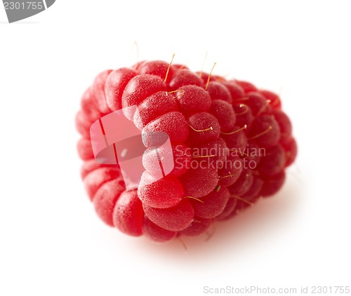 Image of fresh red raspberry