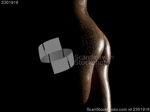 Image of beautiful nude body