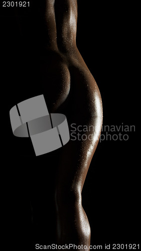Image of beautiful nude body