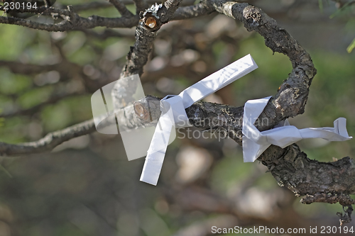Image of Wishing papers