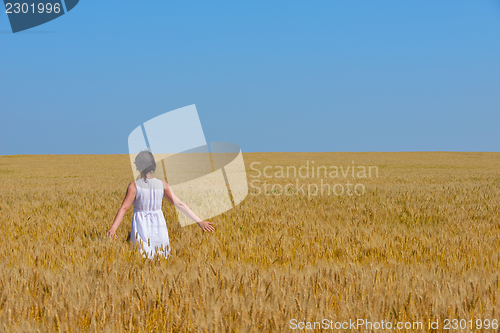 Image of young woman in wheat field at summer