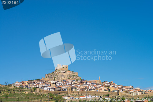 Image of Morella