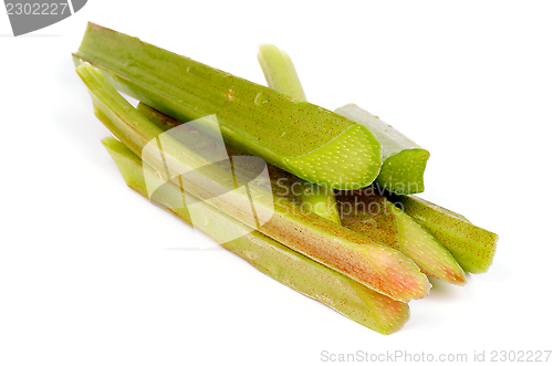 Image of Rhubarb