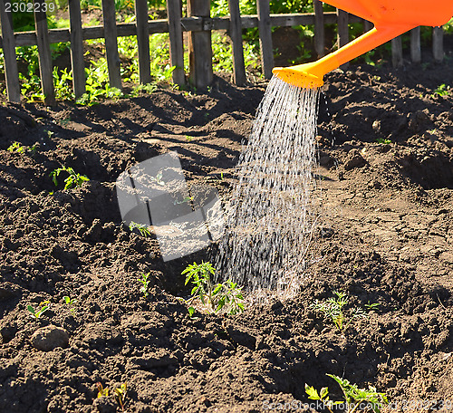 Image of watering