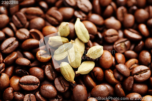 Image of coffee beans with cardamom