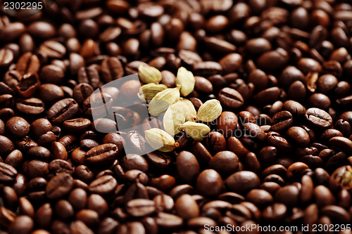 Image of coffee beans with cardamom