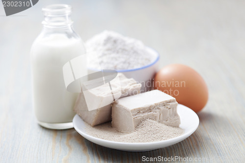 Image of yeast