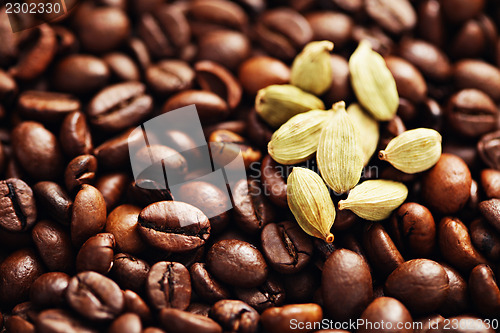 Image of coffee beans with cardamom