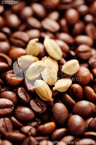 Image of coffee beans with cardamom