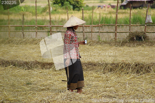 Image of Rice Worker