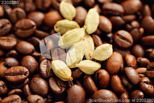 Image of coffee beans with cardamom