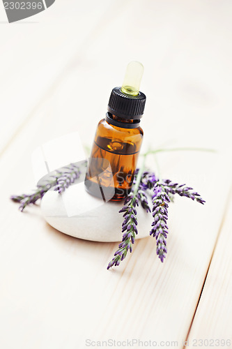 Image of lavender essential oil 