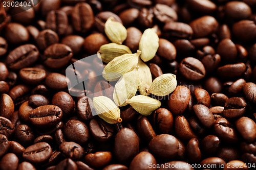 Image of coffee beans with cardamom