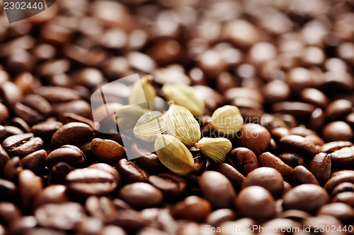 Image of coffee beans with cardamom