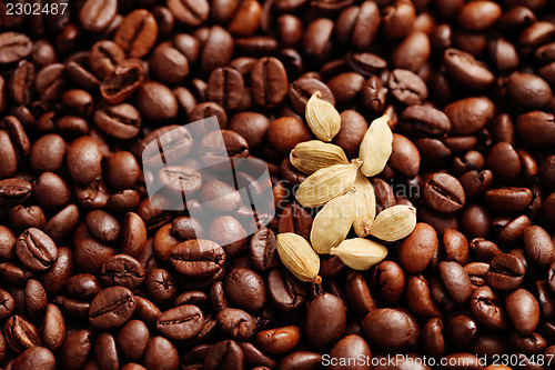 Image of coffee beans with cardamom