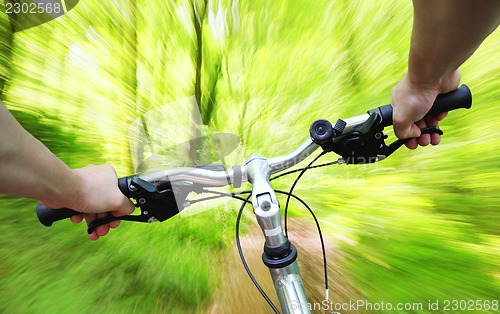 Image of Riding bike through the forest