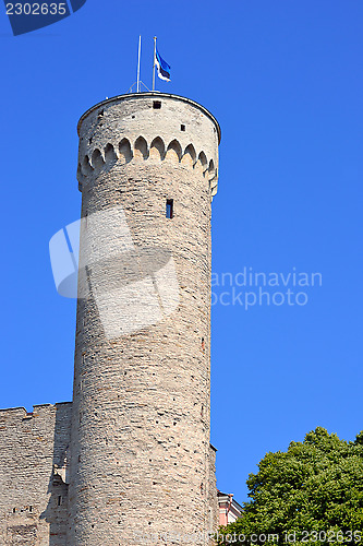 Image of Toompea tower