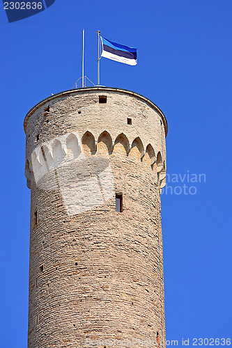 Image of Toompea tower