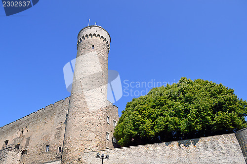 Image of Toompea tower