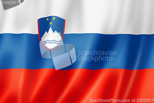 Image of Slovenian flag