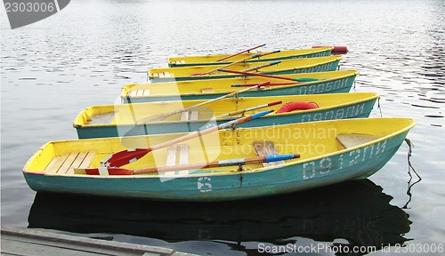 Image of Standing in a row boat on the river