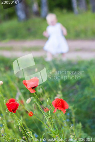 Image of Wild poppies and little child