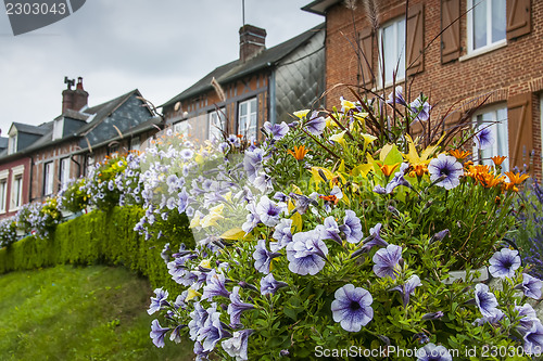Image of Flowers and houses in Lyons la Foret