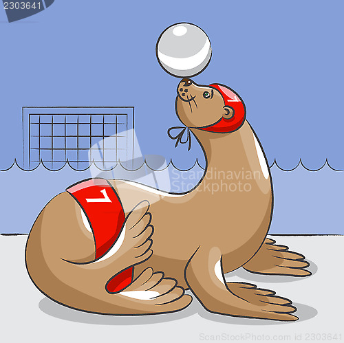 Image of Seal - the water polo  player