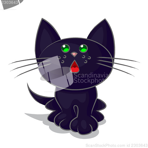 Image of Kitten