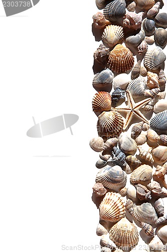 Image of sea shells and star 