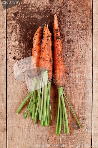 Image of fresh carrots bunch 