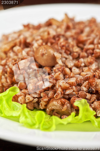 Image of buckwheat