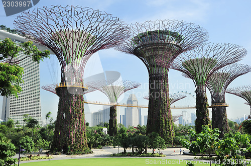 Image of Gardens by the Bay