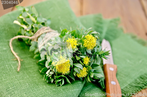 Image of Rhodiola rosea on the board with a knife