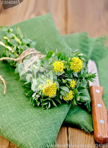 Image of Rhodiola rosea on the green napkin