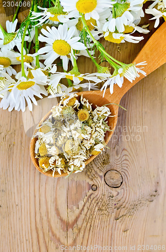 Image of Herbal tea from chamomile dry and fresh on the spoon