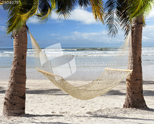 Image of  Hammock  In The Tropical Beach