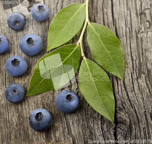 Image of Fresh Bilberries