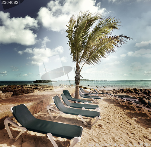 Image of Tropical Beach 