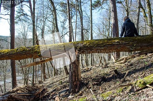 Image of woman sit old broken mossy tree trunk hill 