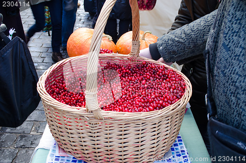 Image of wicker basket cranberry market diet ecologic food 