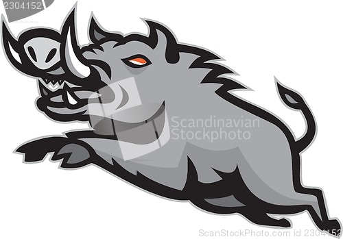Image of Wild Pig Boar Jumping Isolated