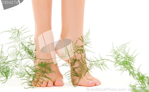 Image of female feet with green plant