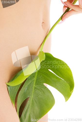 Image of female torso with green leaf over white