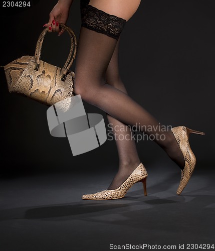 Image of snakeskin shoes and handbag