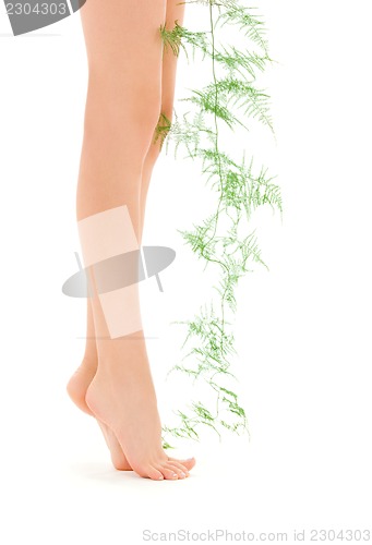 Image of female legs with green plant